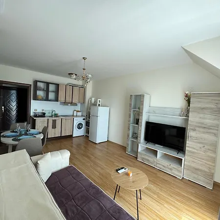 Golden Hermes 阳光海滩